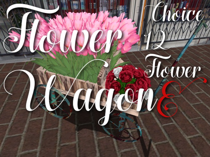 p-a-b flower wagon E