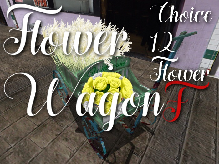 p-a-b flower wagon F