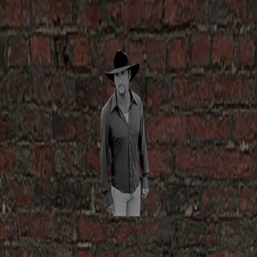 Tim Mcgraw Wall Art