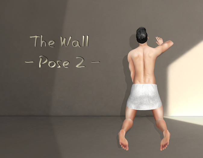 The Wall ~Pose 2~