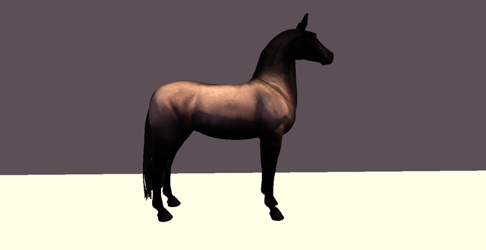 HNS teegle morgan shape