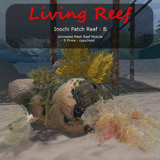 Inochi Reef - Patch Reef B - Boxed