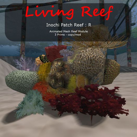 Inochi Reef - Patch Reef R - Boxed