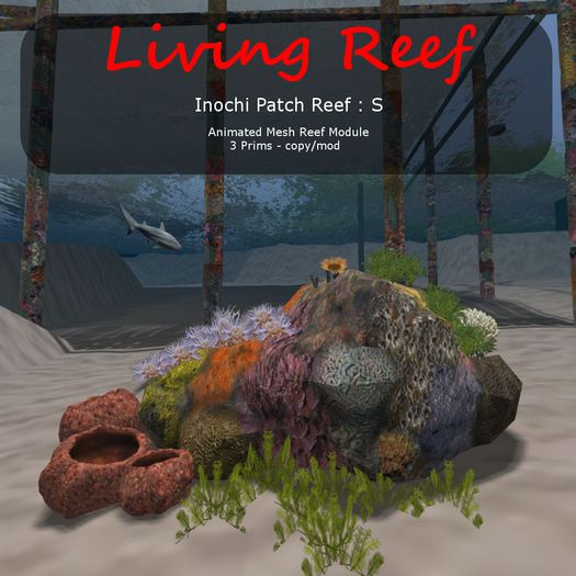 Inochi Reef - Patch Reef  - Boxed