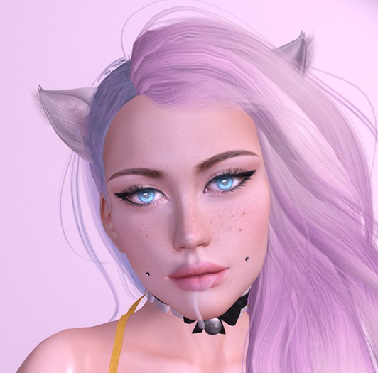 Catya Bento Shape :3