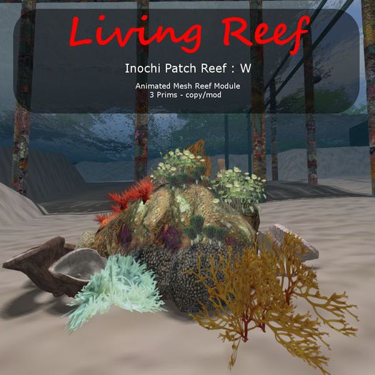 Inochi Reef - Patch Reef  - Boxed