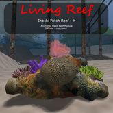 Inochi Reef - Patch Reef  - Boxed