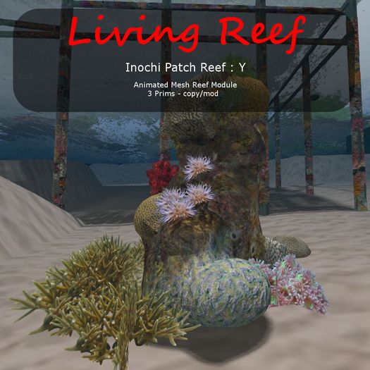 Inochi Reef - Patch Reef  - Boxed