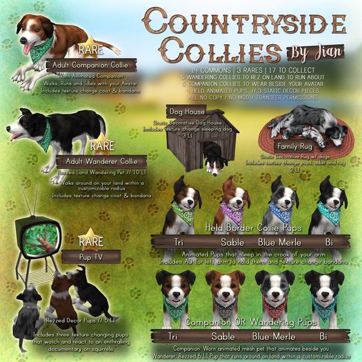 JIAN Countryside Collies :: Held Pup Tri BOX