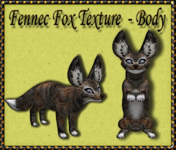 Fennec-Fox-Texture-Body