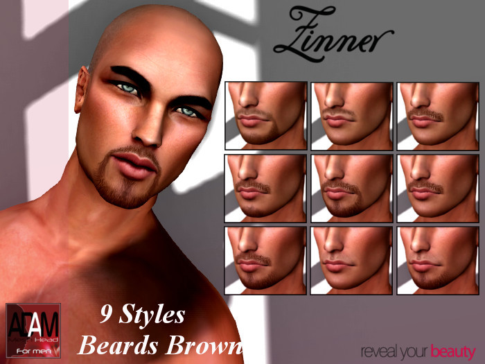 >Zinner< ADAM Beards Brown Applier Set