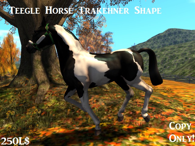 Teegle Horse Trakehner Shape