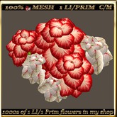 LW_ 2 Color Ground Caladiums 4