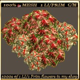 LW_ 2 Color Ground Caladiums 5