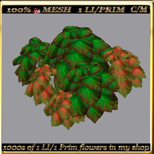 LW_ 2 Color Ground Caladiums 10a