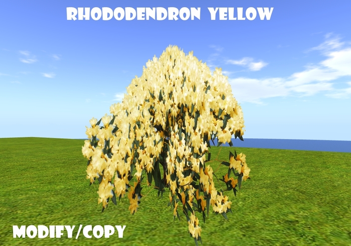 Rhododendron Bush Yellow (Flexi)