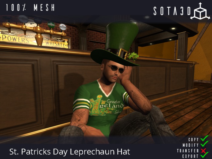 St. Patricks Day Leprechaun Hat