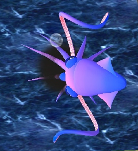 Rare Fish: Squid
