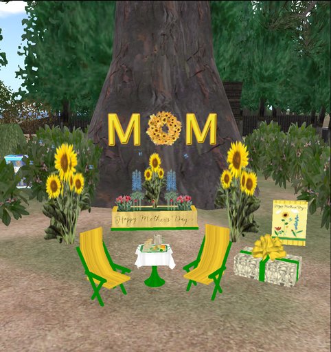 Divivity Sunshine Mother's Day Gift