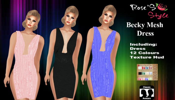ROSE'S STYLE Becky Mesh Dress 