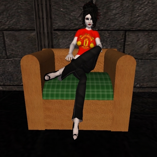 Salubrius Chair brown leather with green tartan seating