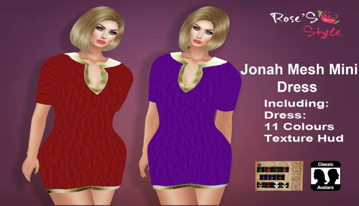 ROSE'S STYLE Jonah Mesh Mini Dress .