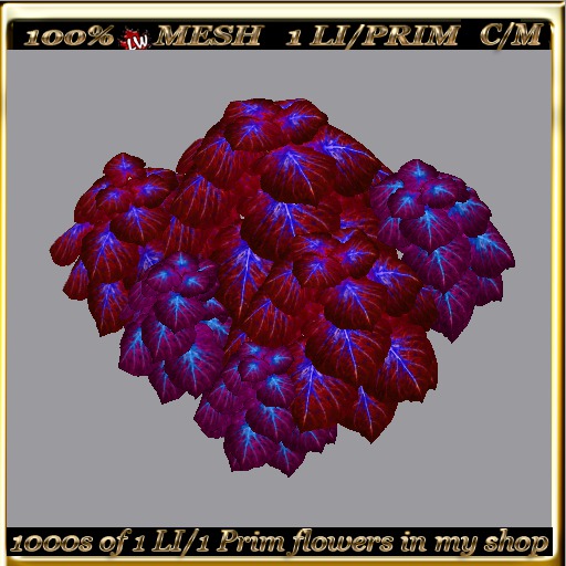 LW_ 2 Color Ground Caladiums 30