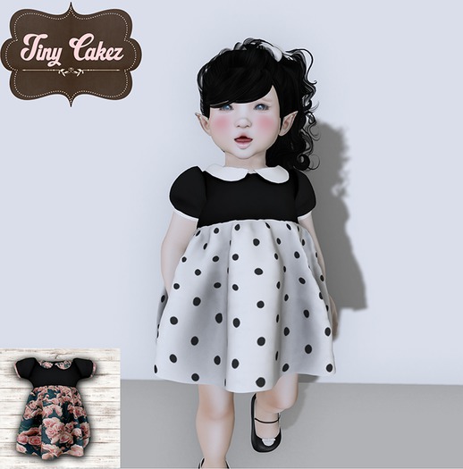{TC} Swiss Roll Dress - Floral