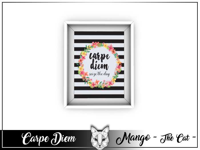 Carpe Diem Stripes Frame - Wall Art