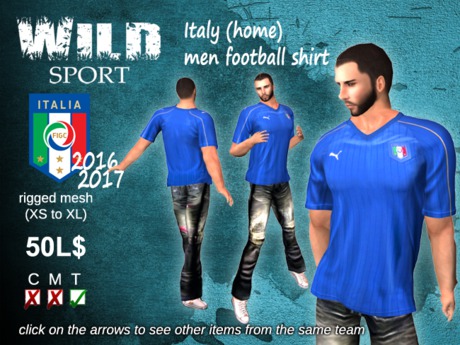 Second Life Marketplace - Italy men football shirt home 2016 (rigged mesh)