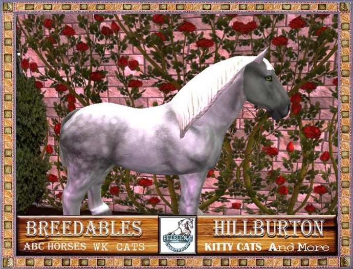 Hillburton Breedables ABC Pet Horse-PerchyLightDappleGray-545496