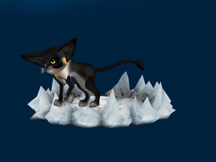 5683cc52c7bb7 #5683cc52c7bb7