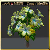 LW_ Mesh Hibiscus Tree 3