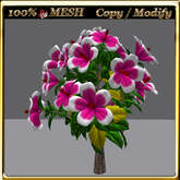 LW_ Mesh Hibiscus Tree 21