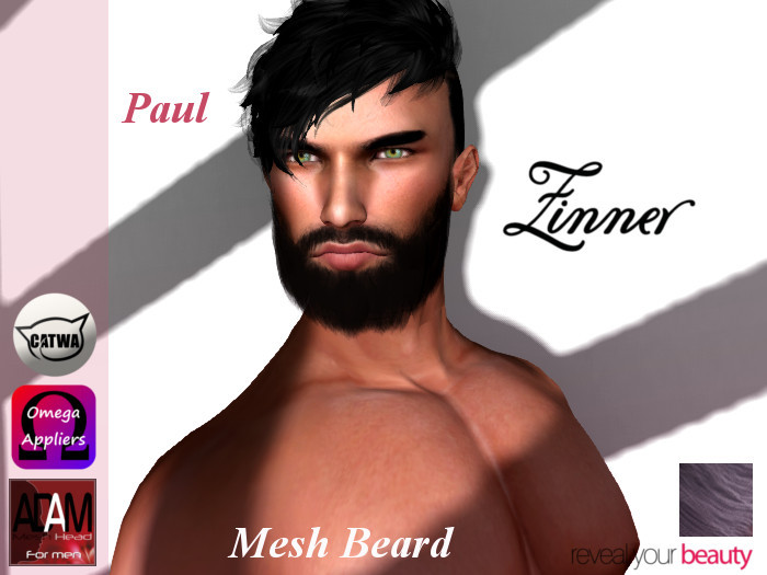 >Zinner< Paul Mesh Beard (Grey)