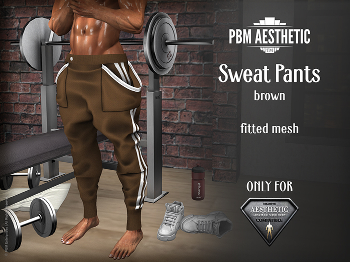 PBM Aesthetic [Sweat Pants] Brown