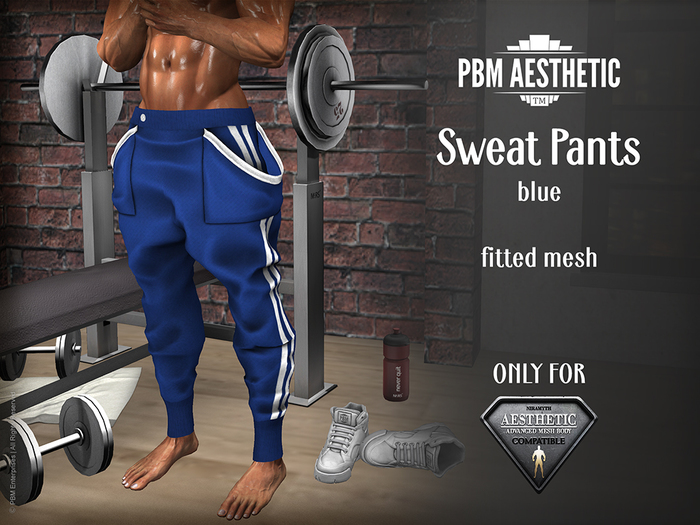 PBM Aesthetic [Sweat Pants] Blue