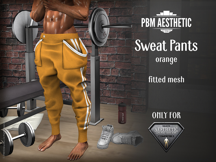PBM Aesthetic [Sweat Pants] Orange