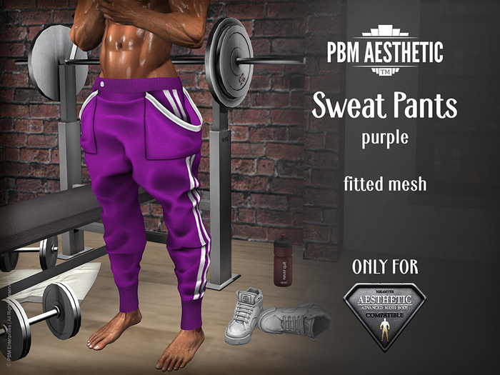 PBM Aesthetic [Sweat Pants] Purple