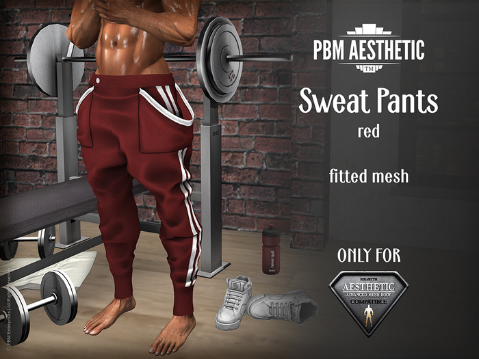 PBM Aesthetic [Sweat Pants] Red
