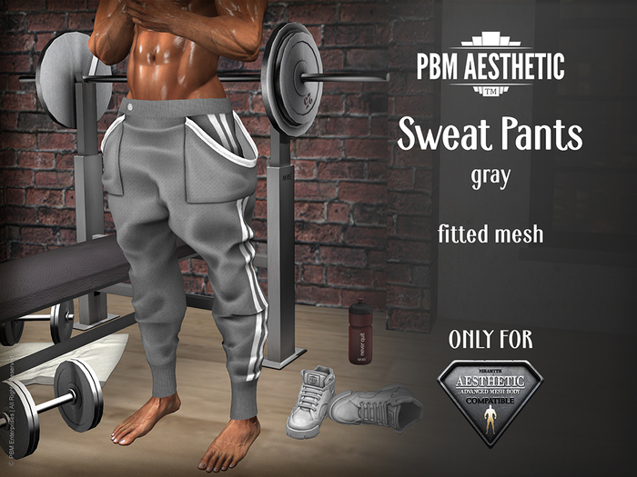 PBM Aesthetic [Sweat Pants] Gray