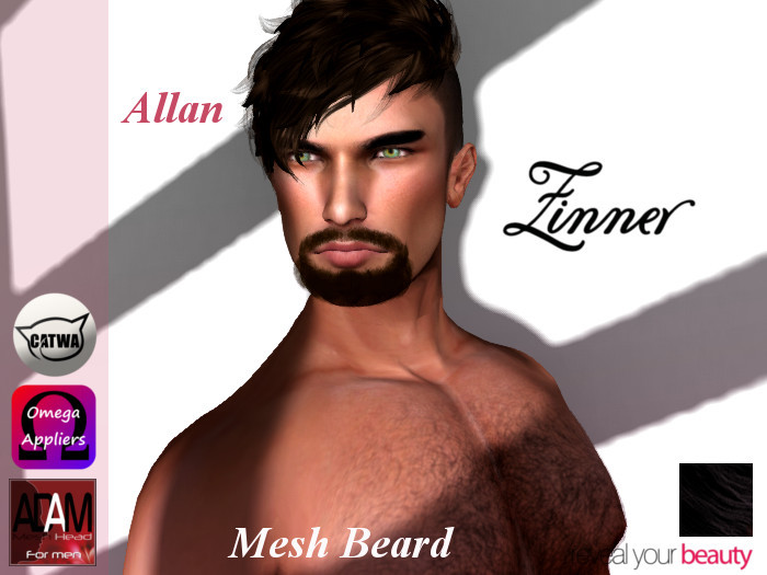 >Zinner< Allan Mesh Beard (Black)