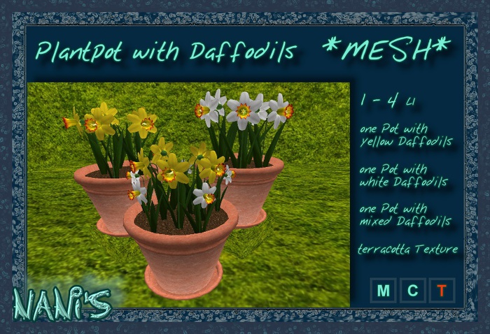 NANI's Plantpot Terracotta Daffodils