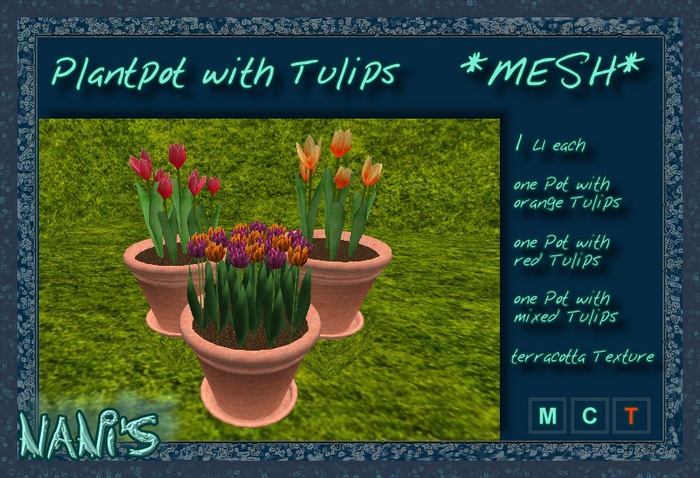 NANI's Plantpot Terracotta Tulips