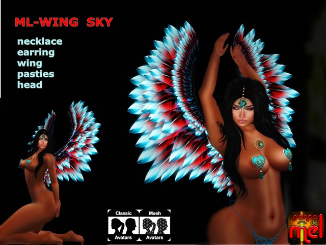 ML-WING SKY