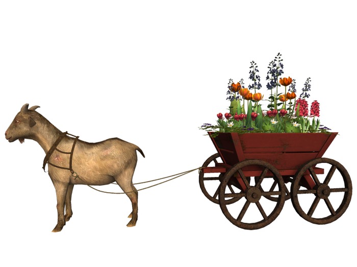 MSD - Harnessed Goat & Spring Flower Cart  - Red (17 LI) C/M
