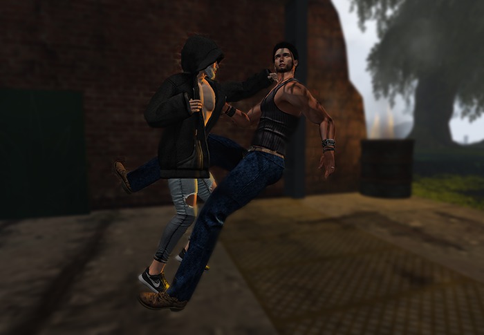 DZ Store - Brawling