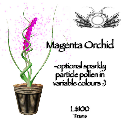 Orchid - magenta
