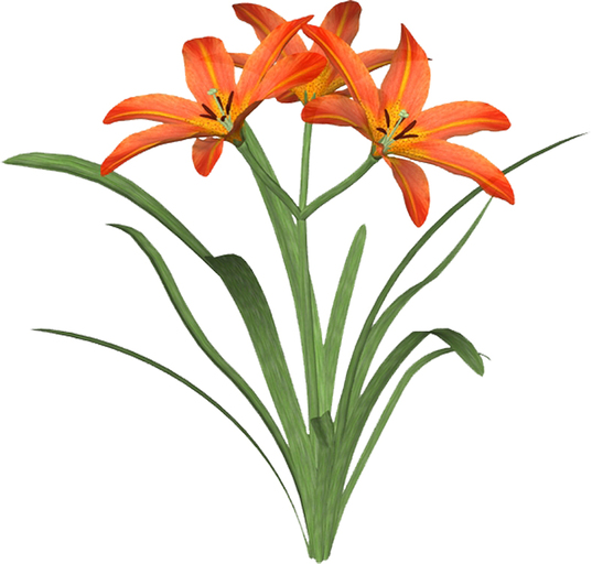 Low Price Lilly Flexi 