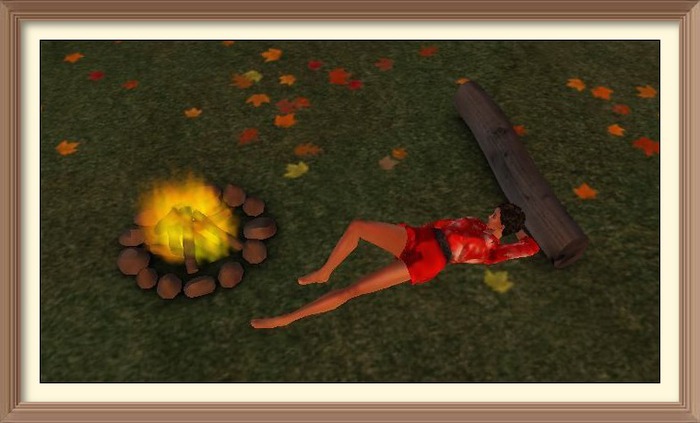 FCD Campfire Set - Silver Birch - 4 LI - CM